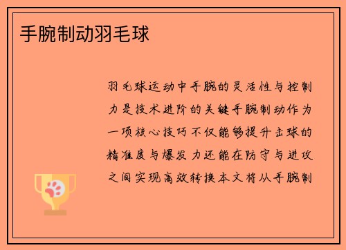 手腕制动羽毛球