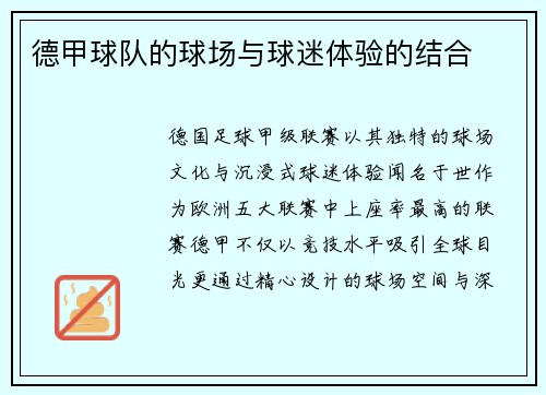德甲球队的球场与球迷体验的结合