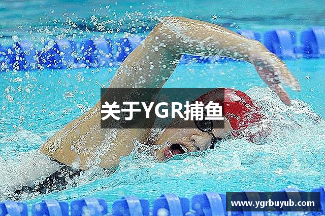 关于YGR捕鱼